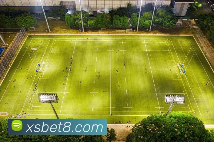 新盛娱乐官网服务体系